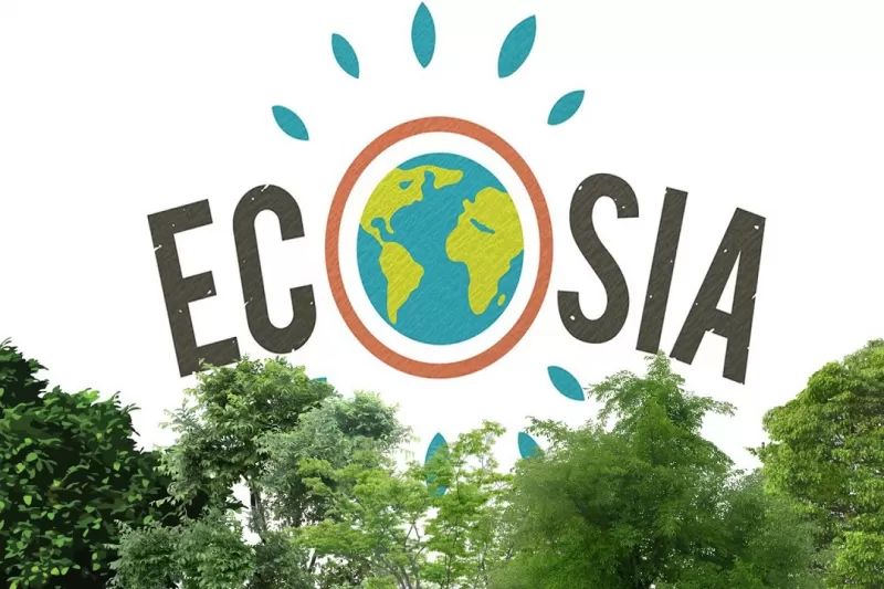 24_ecosia-800x533-1