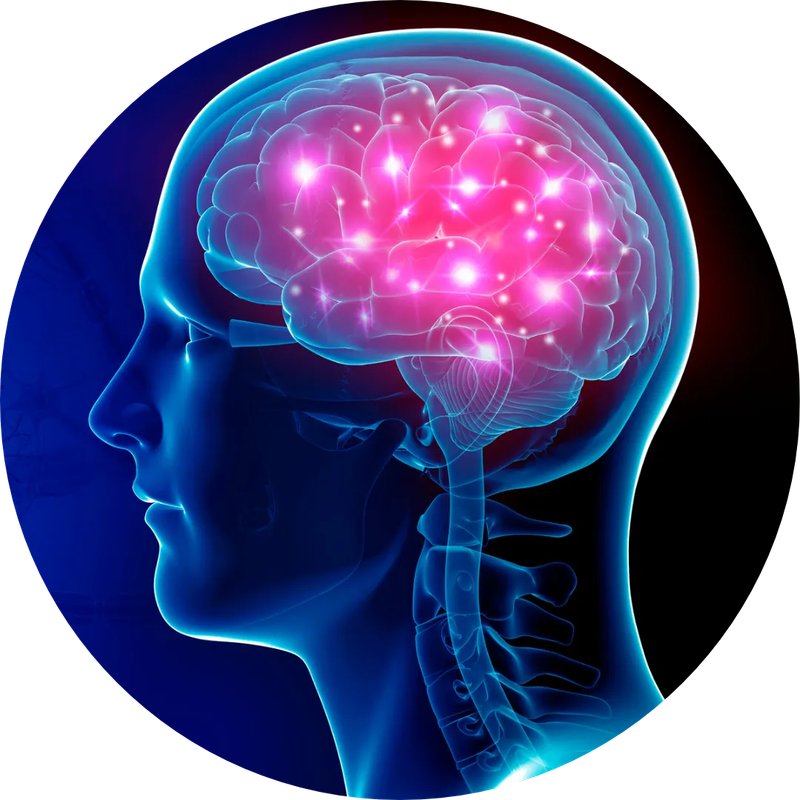 8x_Promo_6Brain